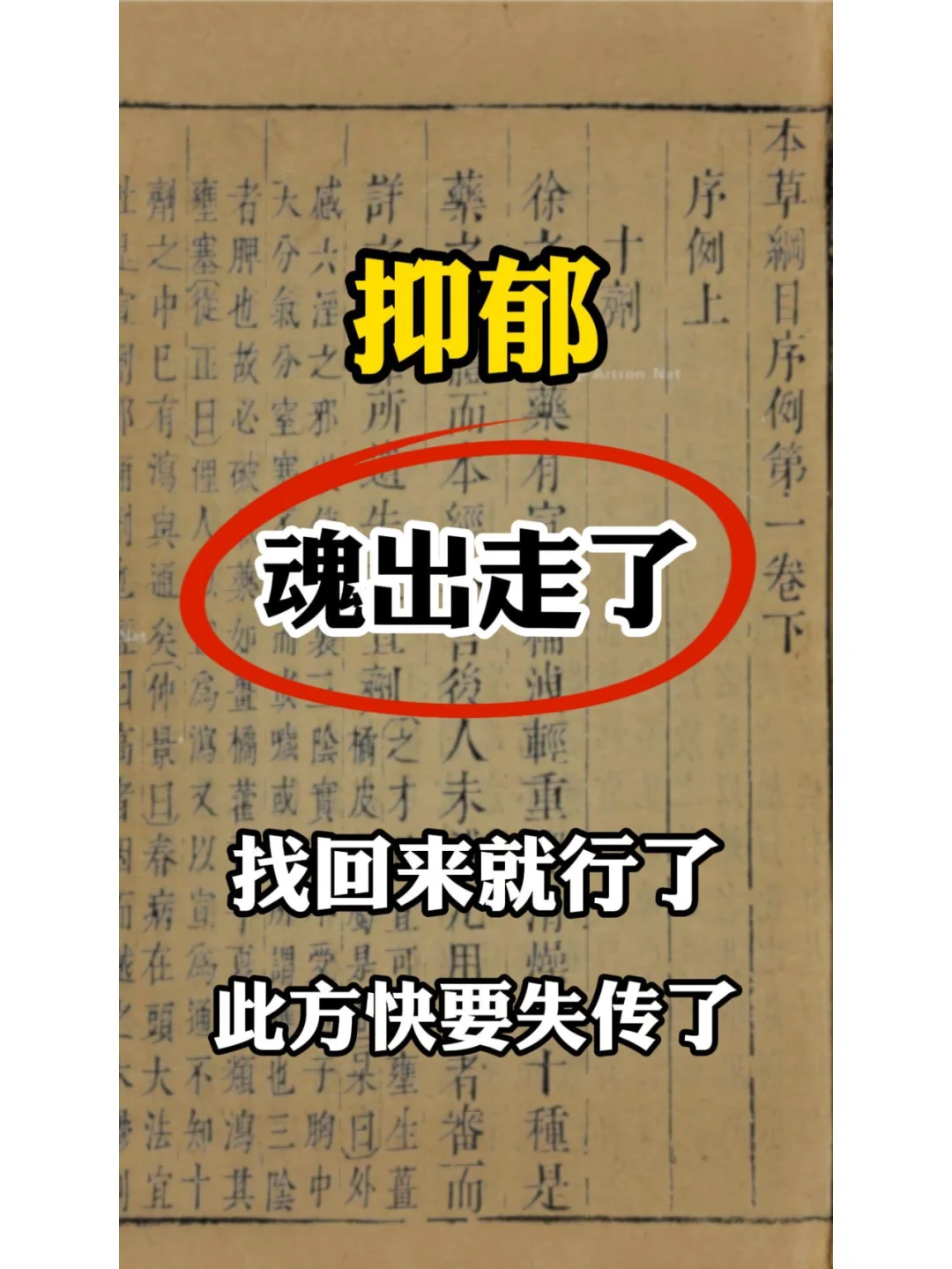 抑郁就是魂出走了，找回来就行了