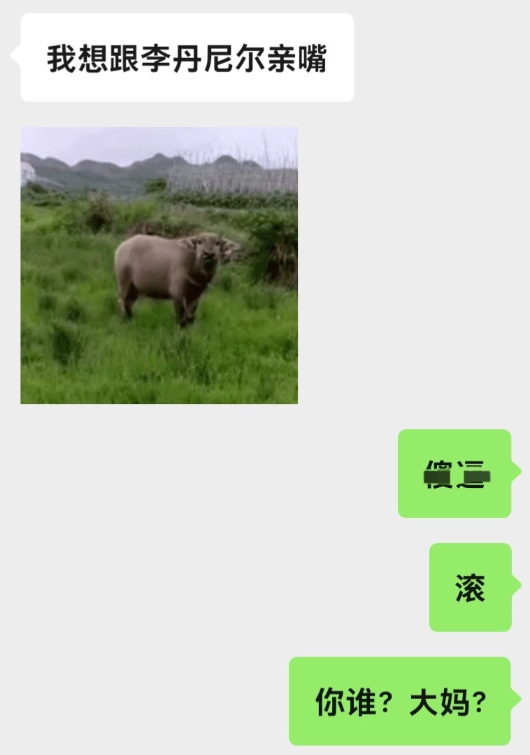 我每天就这么刻薄的对小软卷 