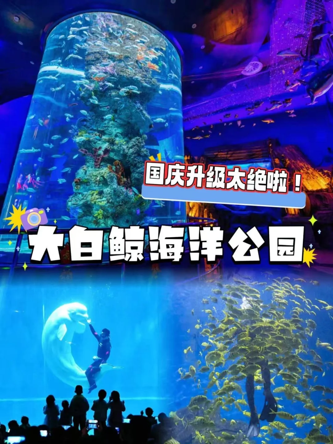 老游客速看！芜湖大白鲸海洋公园国庆太超前