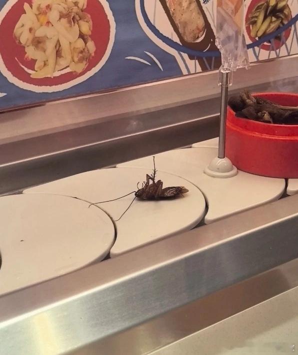 盛香亭回应菜品传送带现蟑螂【盛香亭涉事门店已暂停营业进行消杀】近日，有网友反映，