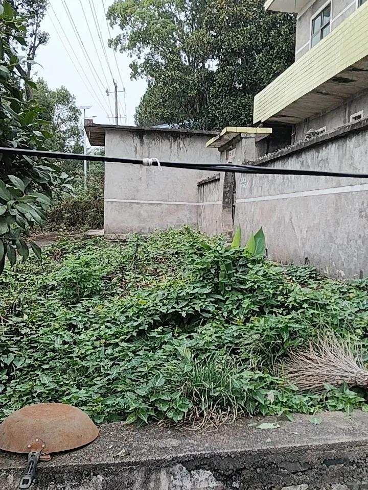 你赞同禁止超前学习行为么 上联：夫妻本是同林鸟，诚邀下联