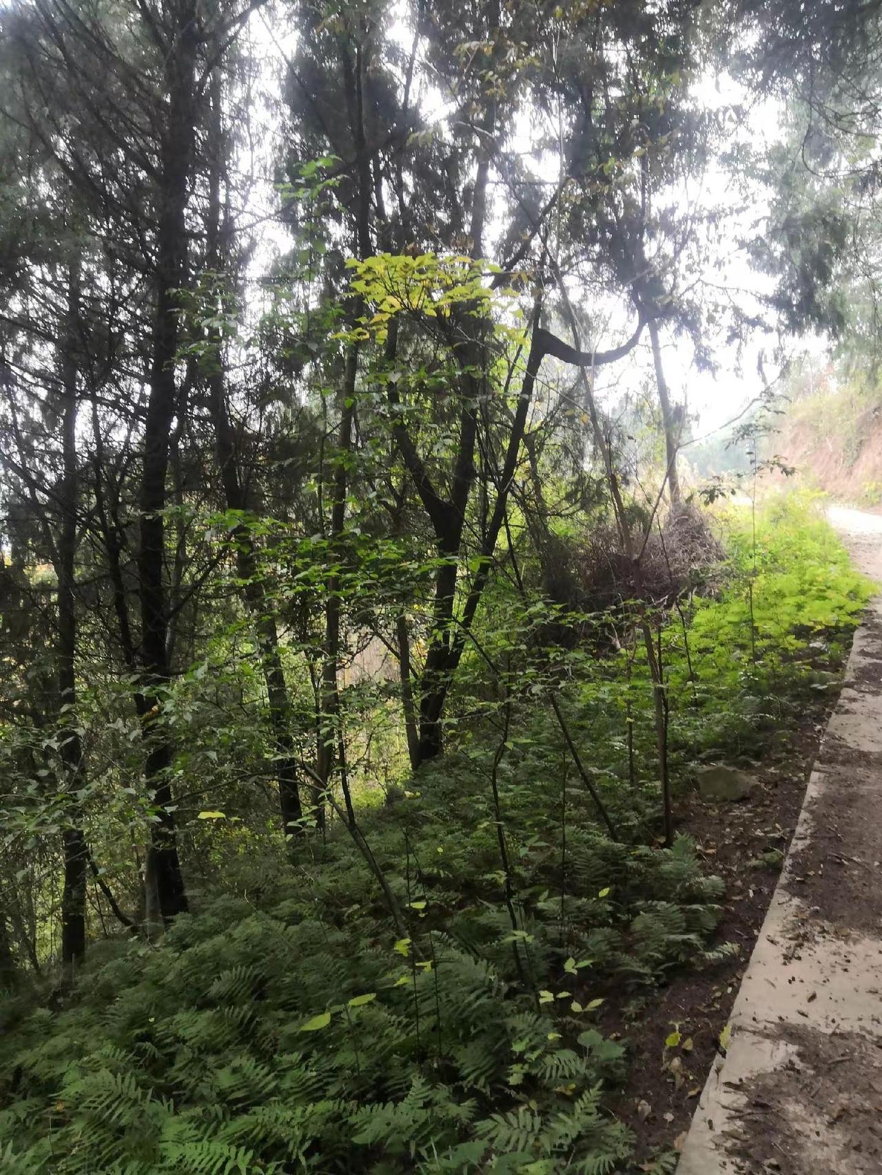 山村景色，很美的地方，冯店，欢迎你