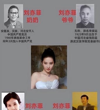 沉默的父亲，热搜的风暴，被删掉的简历。 最近网上全在说刘亦菲妈妈多不容易，可她爸