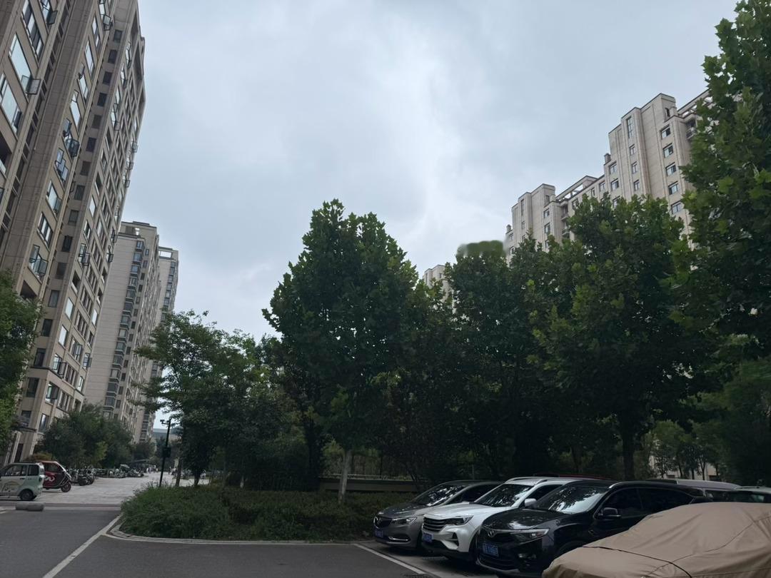 老天也是开眼了，下雨了☔️☔️ 