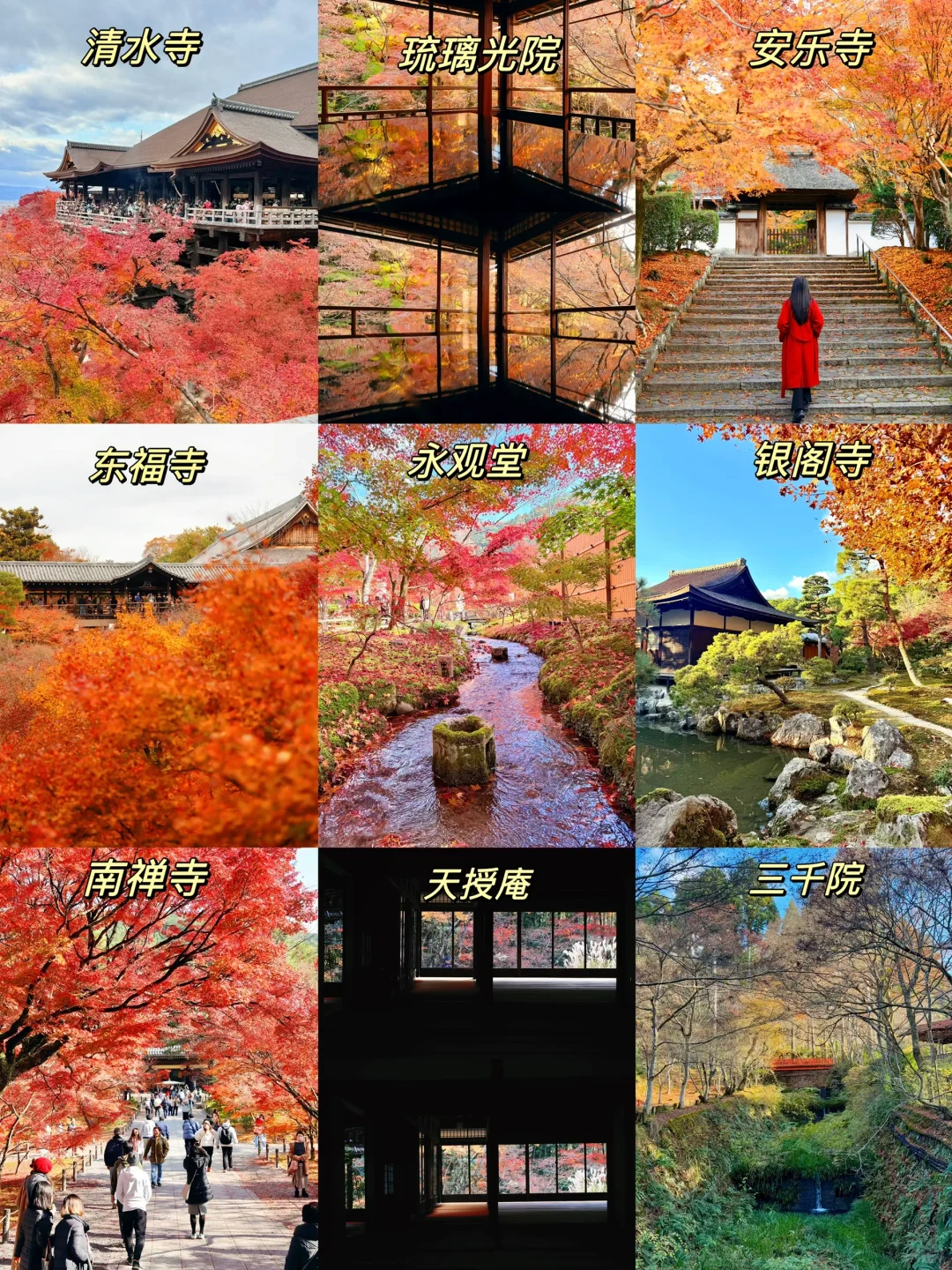 京都枫叶现状🍁这几个地方可以不用去了❗❗