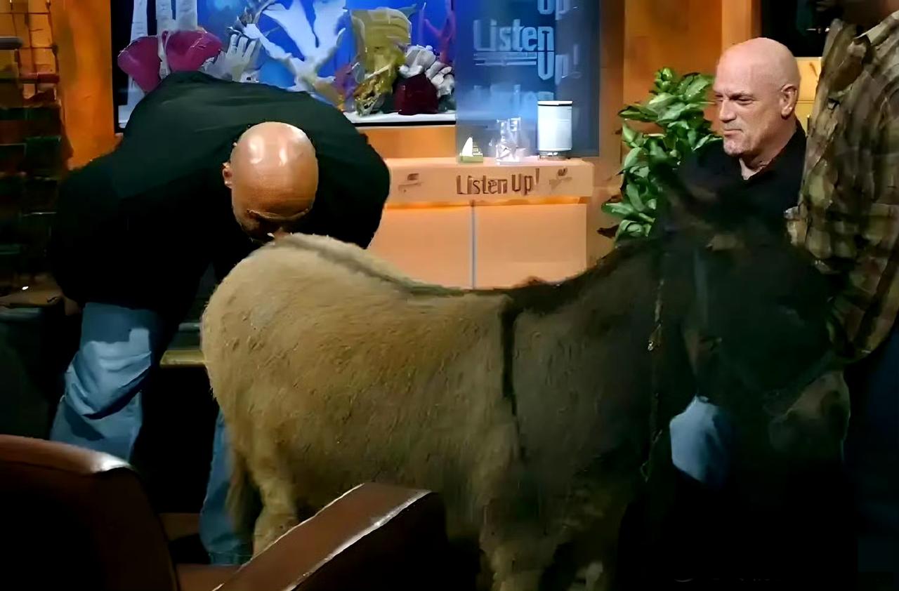 人争一口气，树争一块皮！
不知道杨瀚森听没听过姚明当年让巴克利亲驴屁股的故事
当