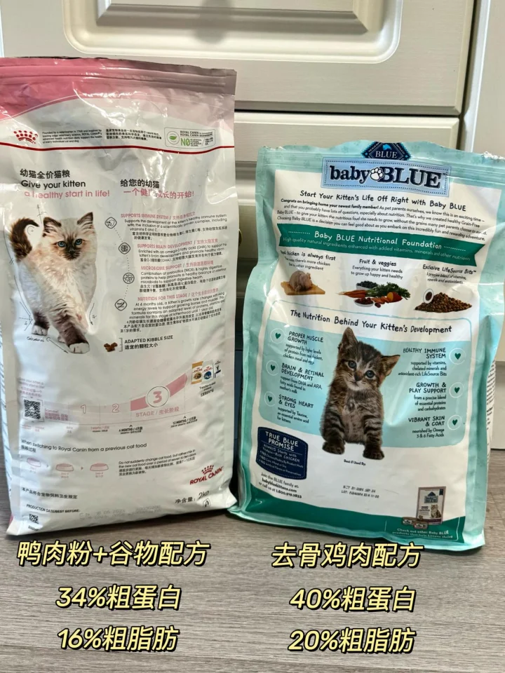 幼猫成长第一步！选对幼猫粮的重要性！