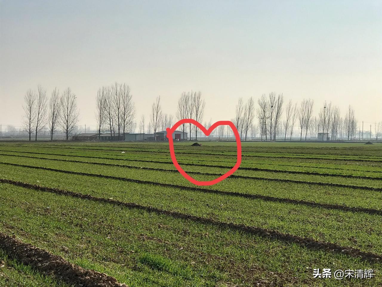 （1591）：又是一年清明节。远远望去，儿子的坟茔小小的，坟上长满了野草，还放着