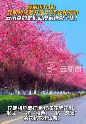 昆明将统筹打造45条花路花街？
听说昆明即将统筹打造45条花路花街，形成“一街一
