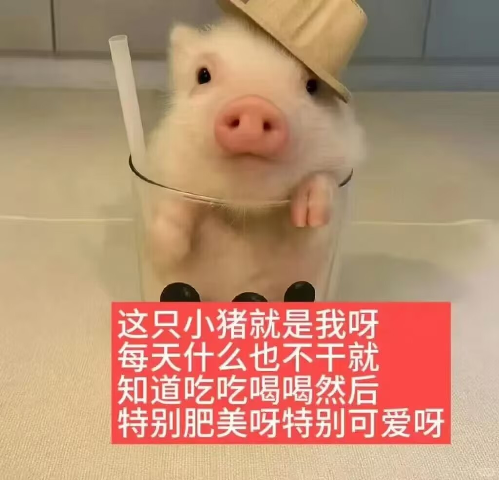 开会开到意识模糊了 夜宵来了急头白脸吃了两份冷面一份炒饭 还差点把茭白也当面吃了