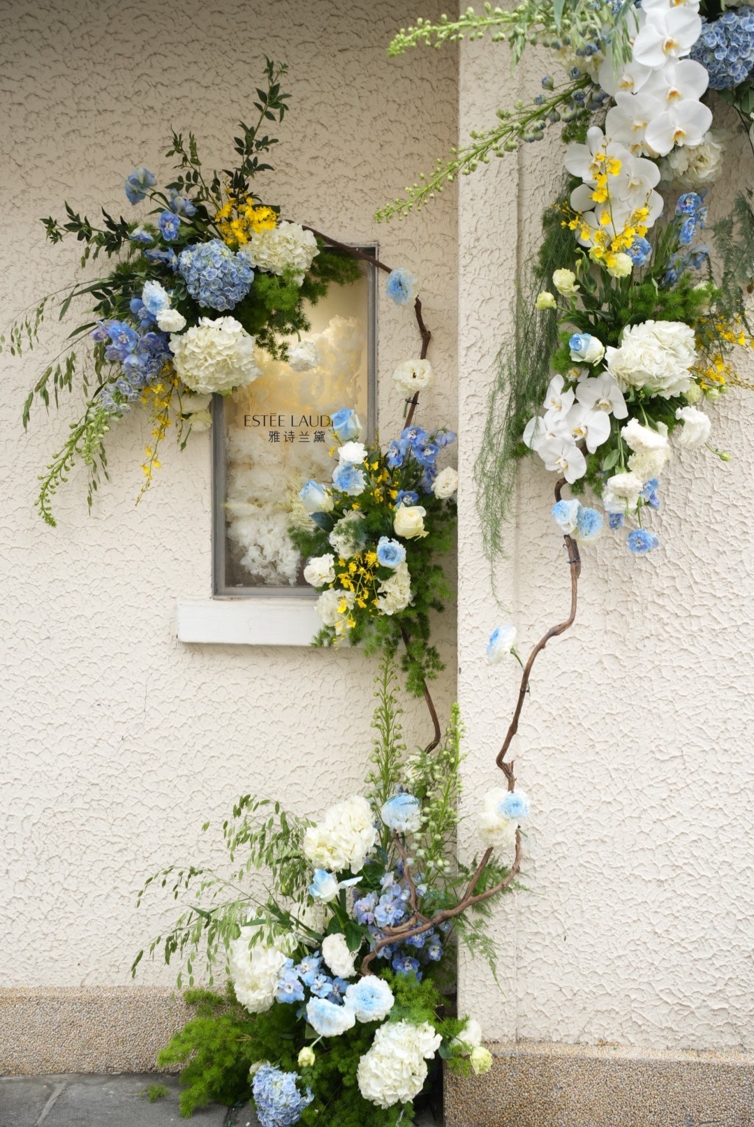 闪闪发光的她街头捕获女神节惊喜安福路、武康路、五原路的女生们注意啦！街头偶遇女神