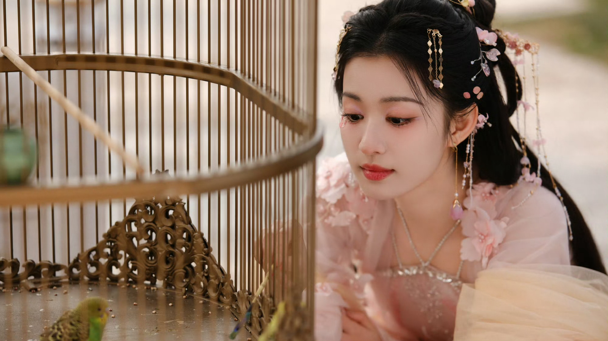 庾晚音王楚然这一波美貌暴击，今日份的心动已超标！