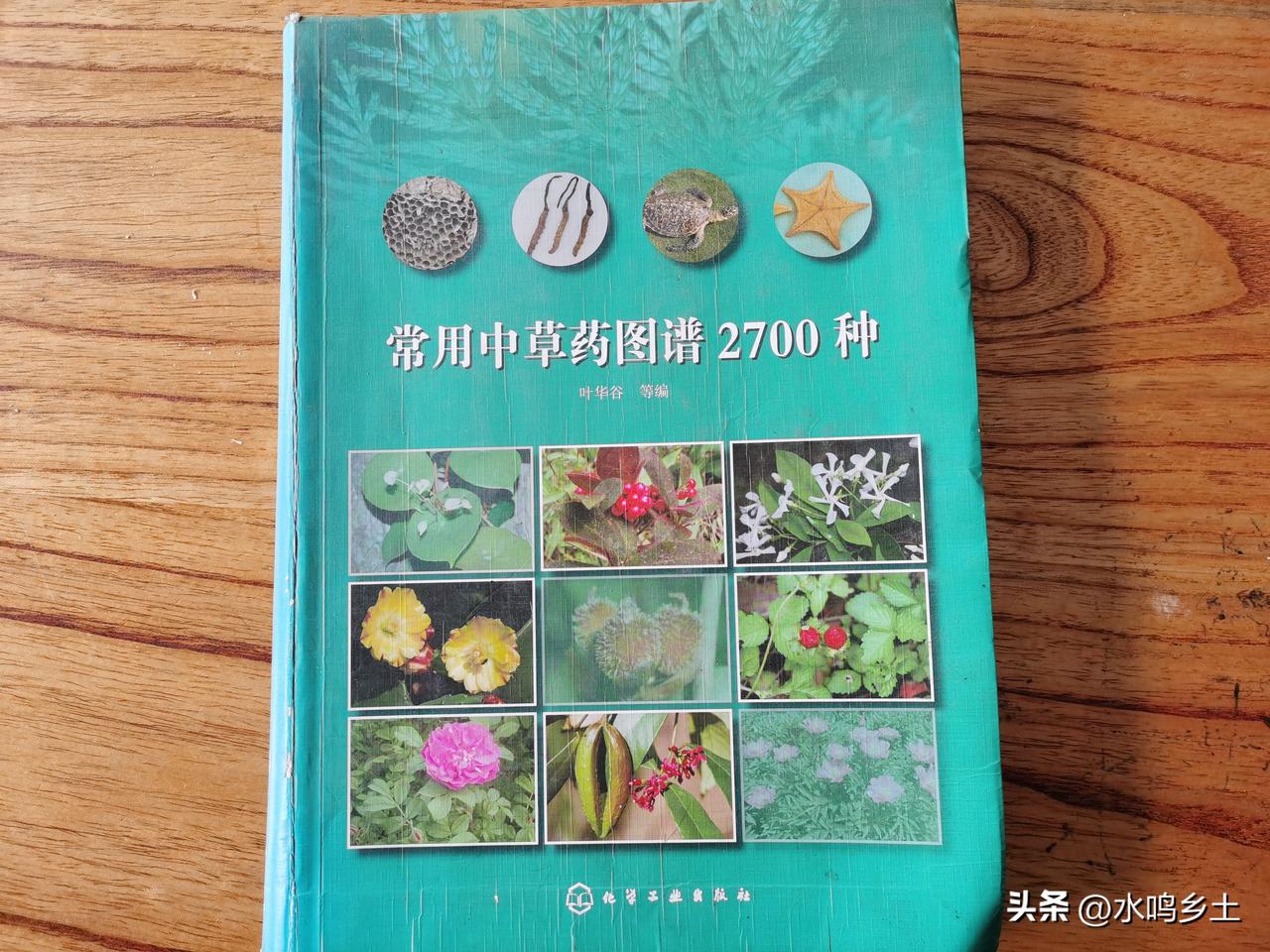 自学中医中草药，哪本书比较好如果自学中草药的话，那必须找一本彩图的草本书，一本五