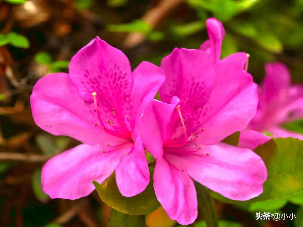 车间里最恶心的双标，真让人寒心
 
在工厂上班最憋屈的是什么？
就是遇到不讲道理