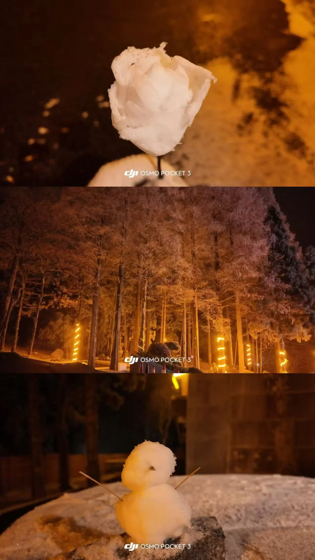 Pocket 3 拍夜景封神（附参数设置）