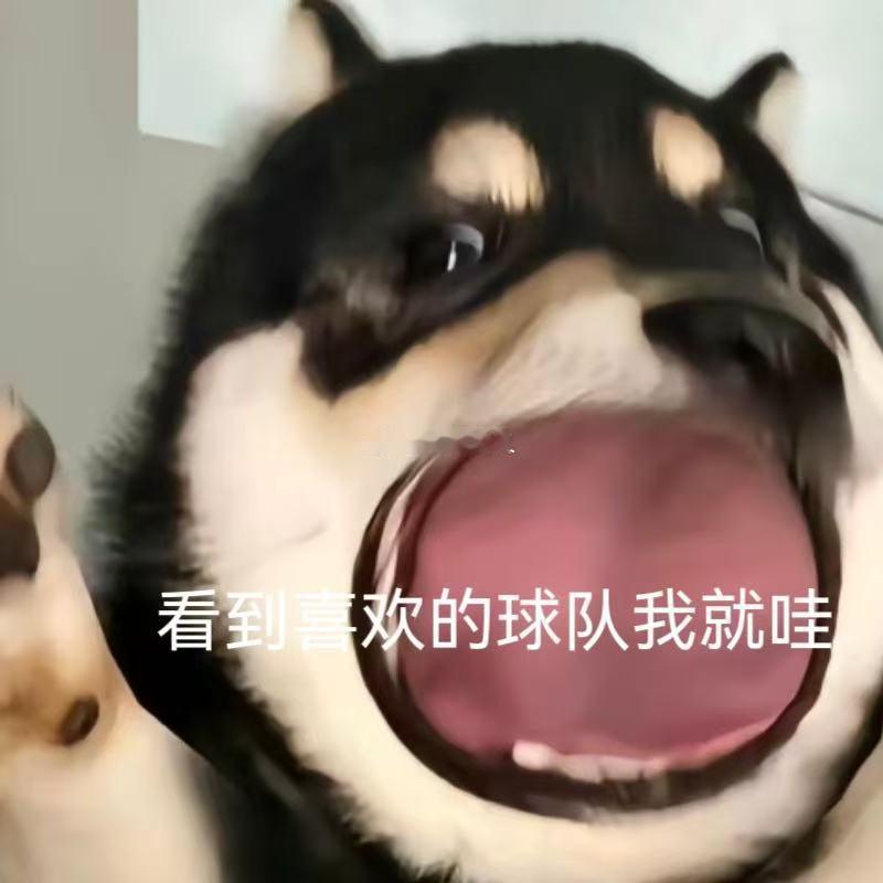 本场葡萄牙首发就位，熬夜观赛的优惠别错过！上淘宝闪购🔍【大力省】，夏日拼团低至