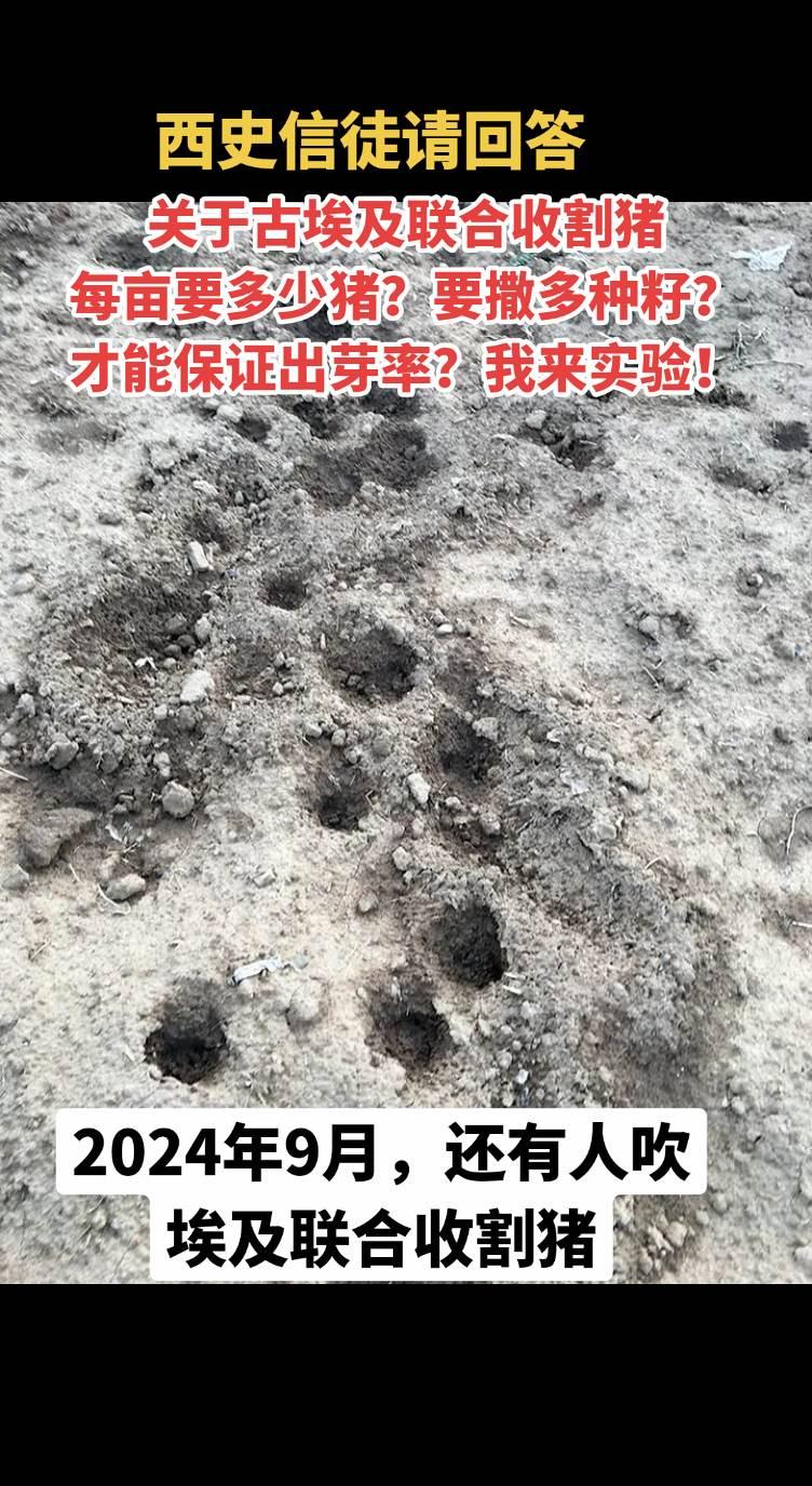 #西方伪历史 #世界历史 #大殖#水军#蛙蛙
