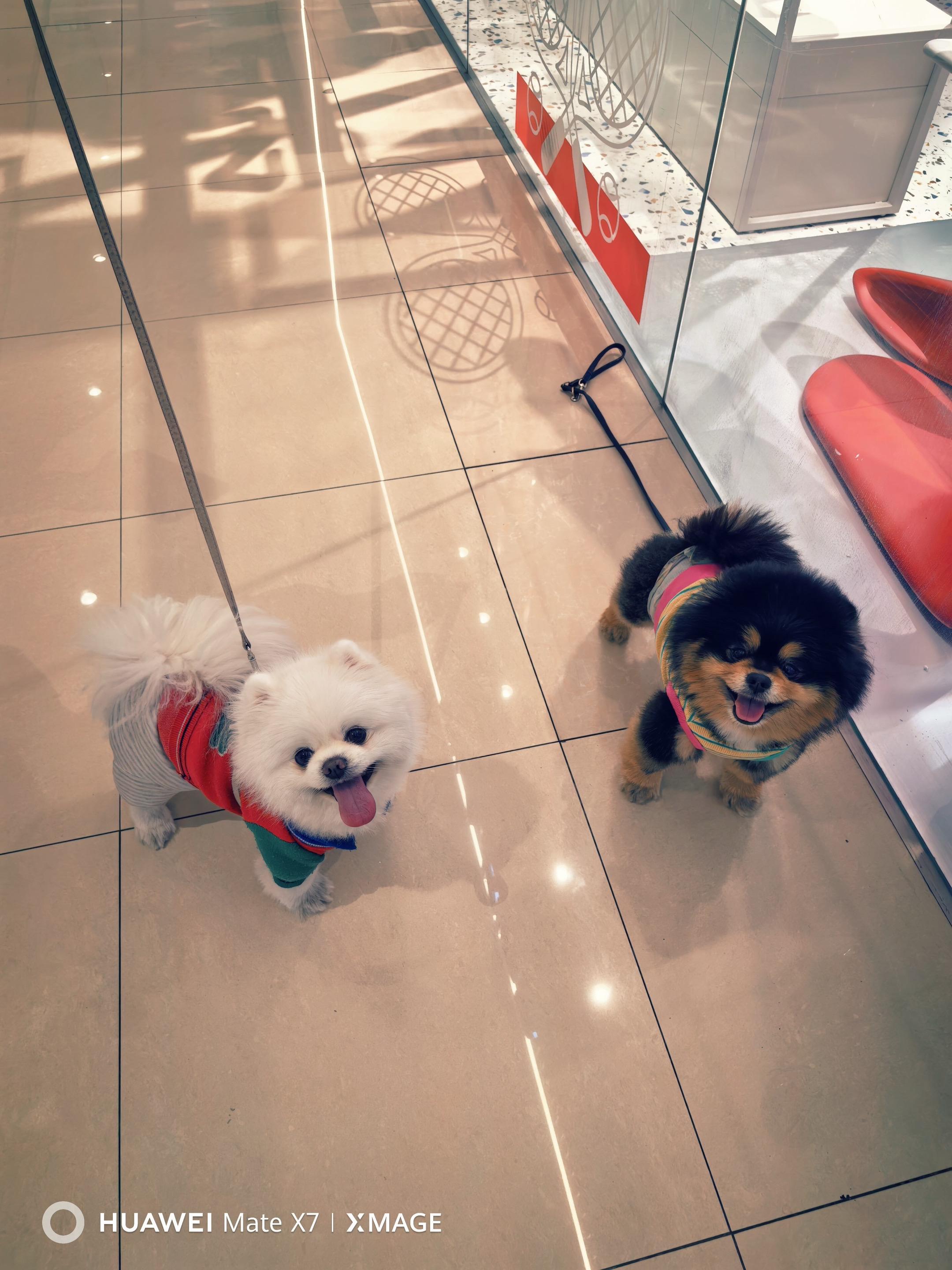 周末当然要和好朋友聚会呀