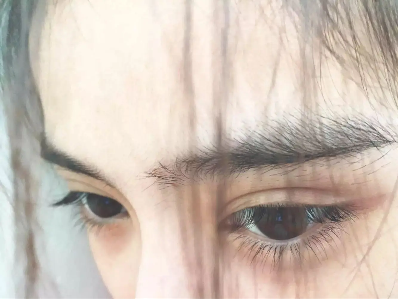 如花似梦是我们短暂的相逢