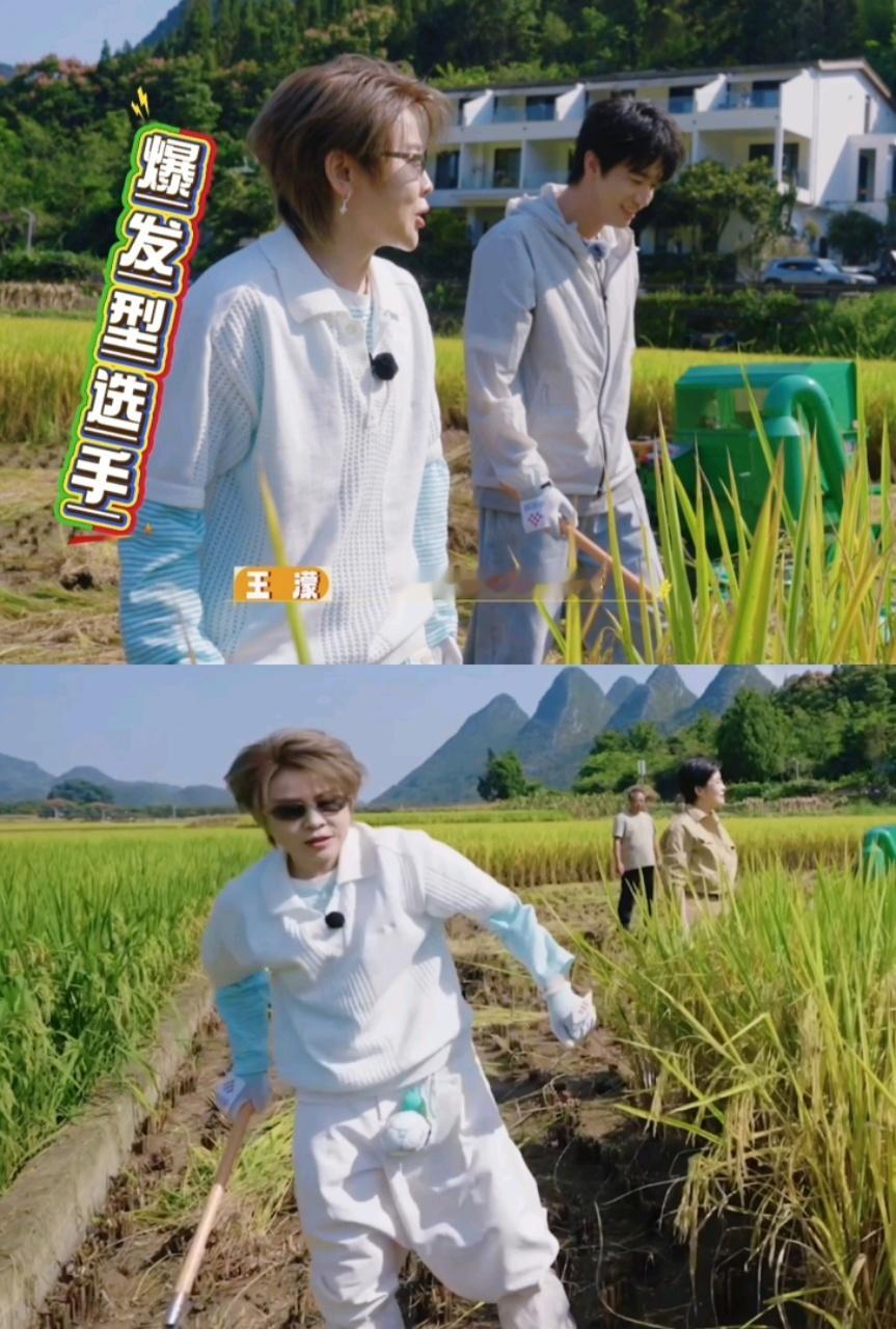 王濛从没打过这么久的仗咱就是说看着简简单单的农活，上手才知道难度拉满呀！而且稻田