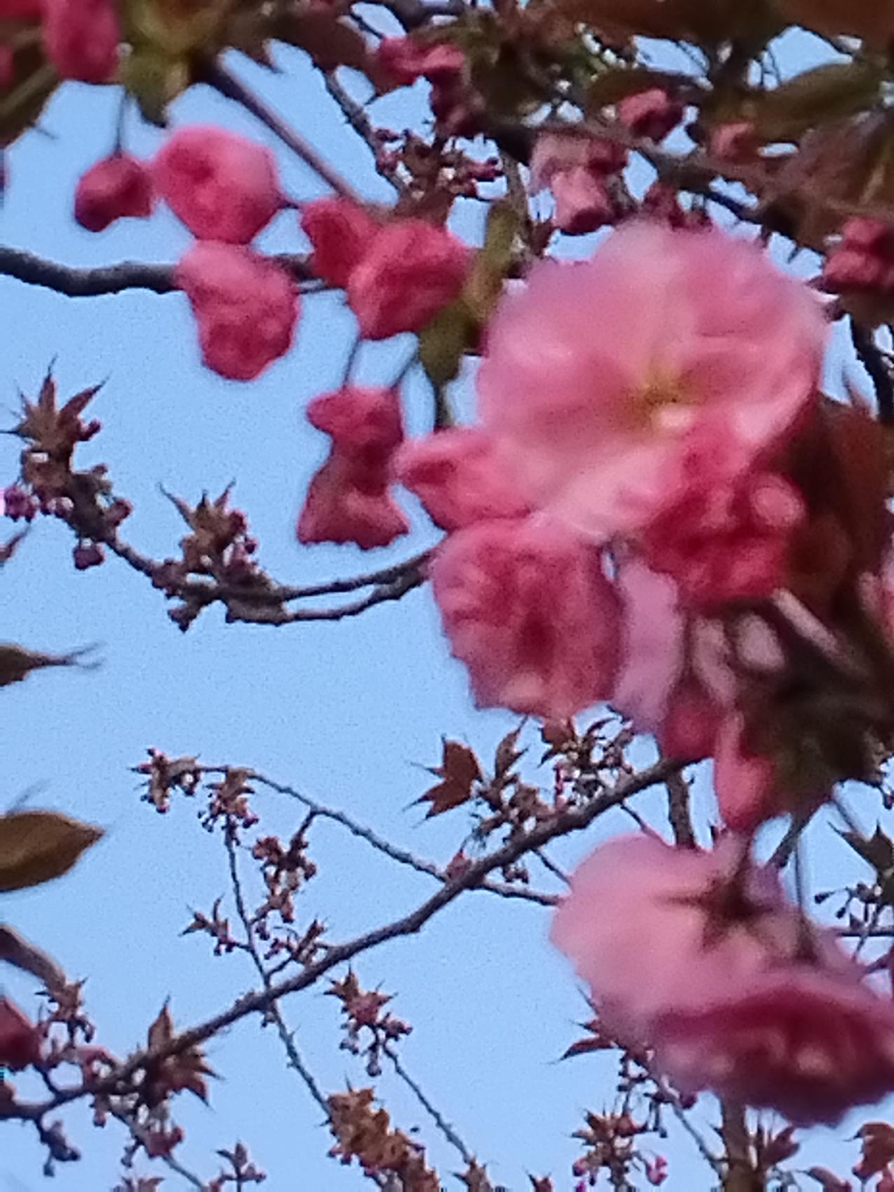 流行老年大学：丰富晚年生活的新选择

随着社会老龄化加剧，老年大学逐渐走入大众视