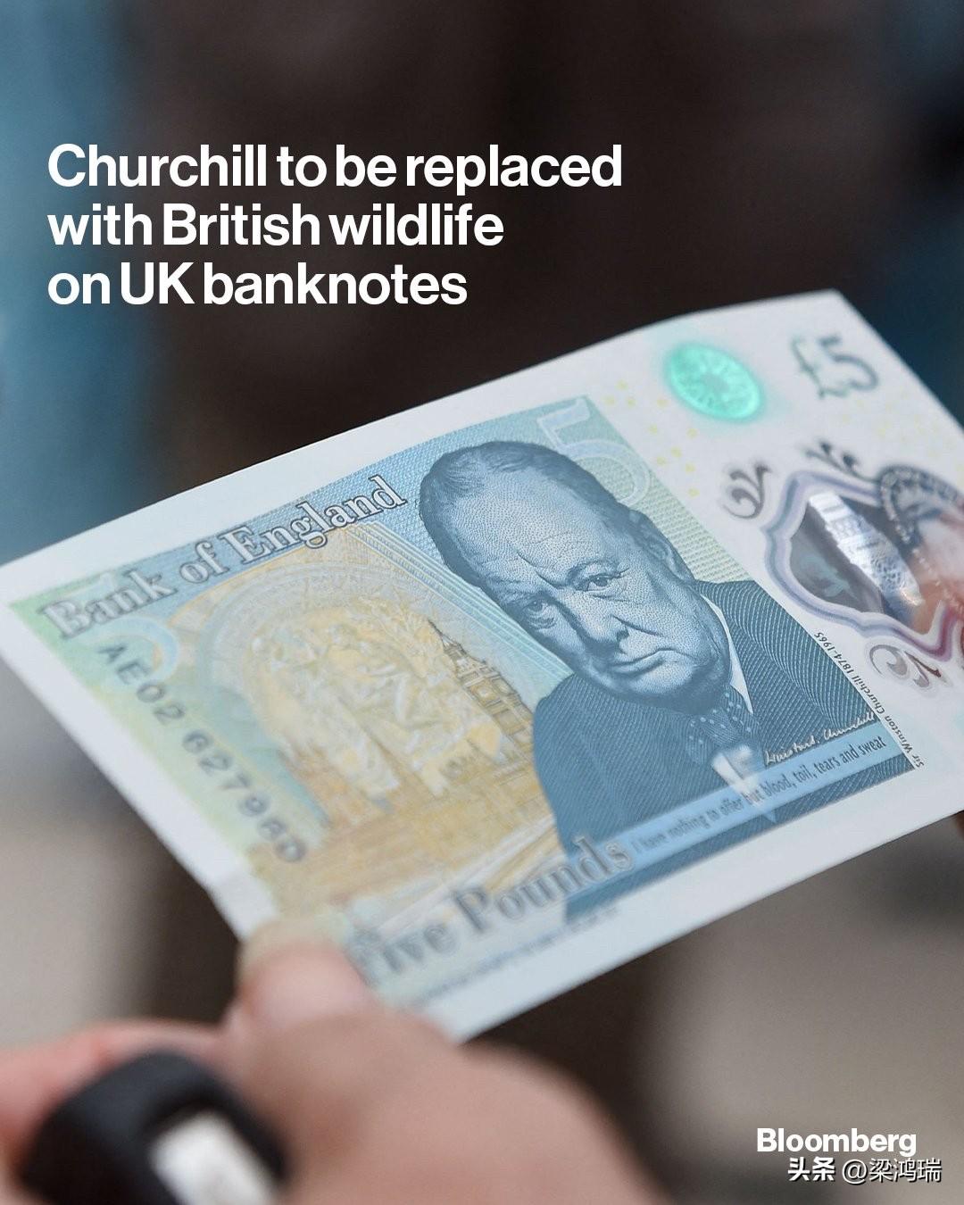 温斯顿·丘吉尔的头像即将从英国纸币上消失，这位叼着雪茄的战时领袖将让位于刺猬和獾