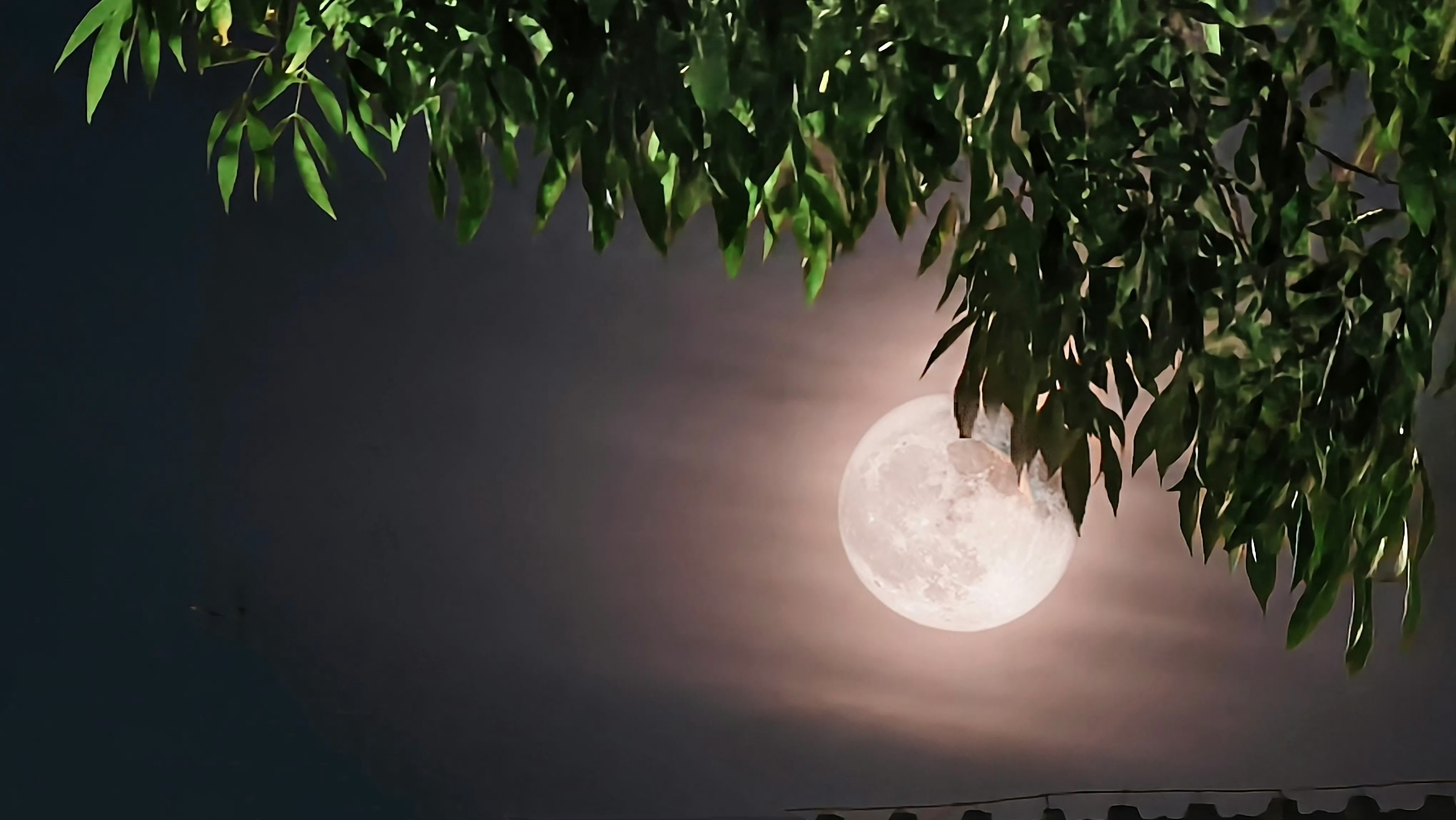 因为《月球俱乐部》🌕竟然爱上了咔嚓📸月亮虽然拍摄技术不咋滴，但拍的时候心花怒