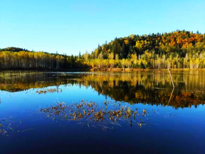 #做早饭时想# 昨天说有朋友说要移民加拿大，我说你要寒冷、孤独、空气好、不方便的