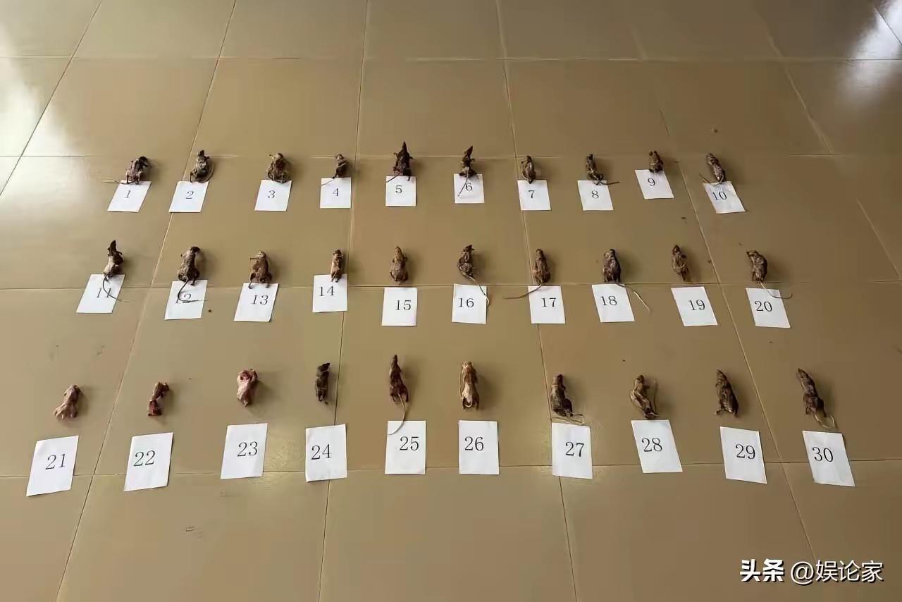 2026年1月，海南琼中的村民王亮家里冰箱被警察打开，里面整齐摆着30只冷冻的黄