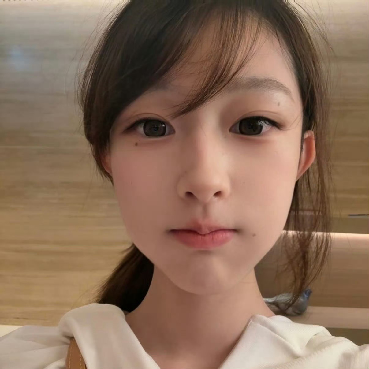 𝐒𝐇𝐀𝐑𝐄｜女生頭像· 請在我的世界與我重逢🩶✩｡♡ 