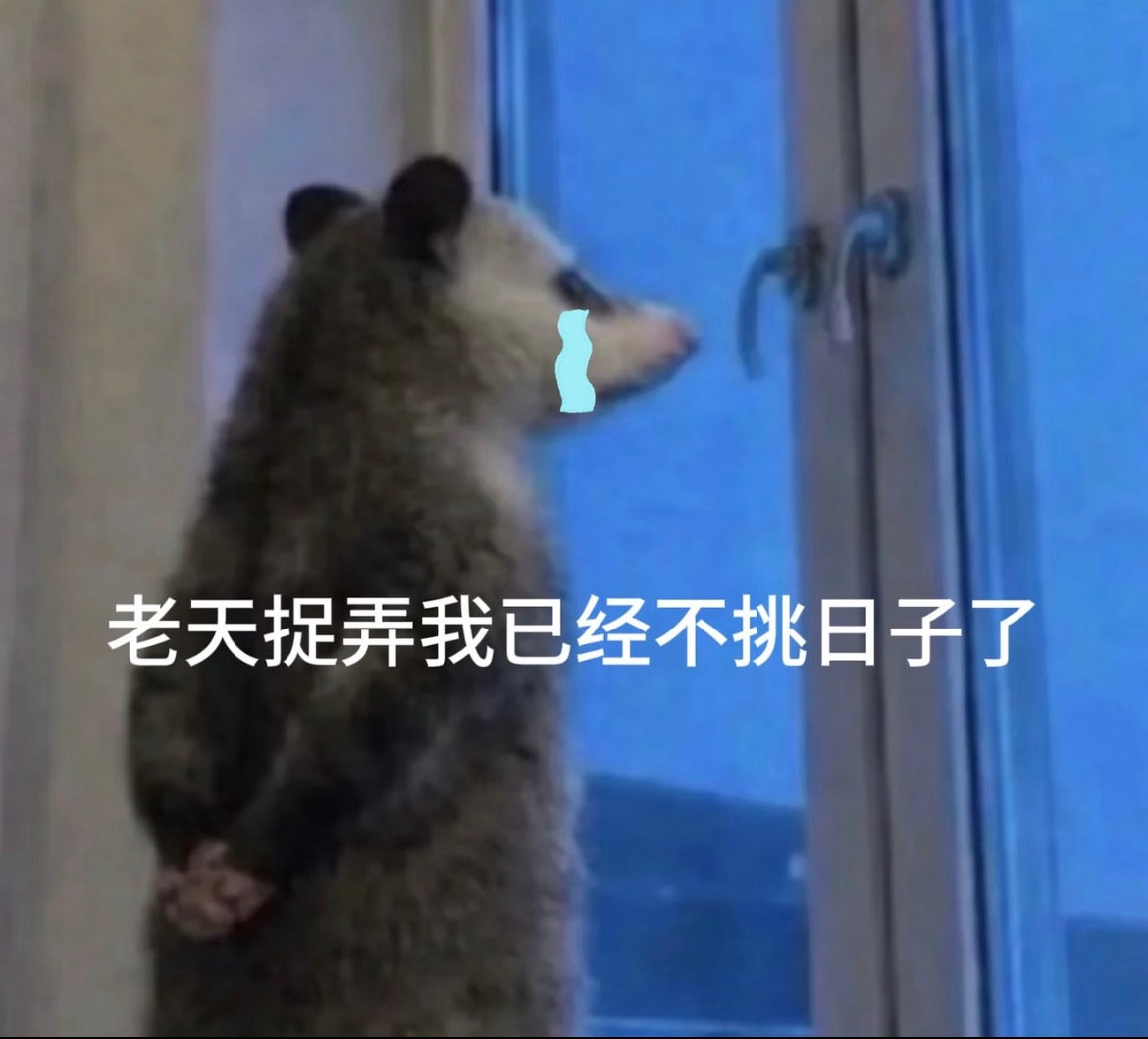 用了三个设备在激情录屏，准备美美做10个以上的cut，结果，🥭你就这样做票