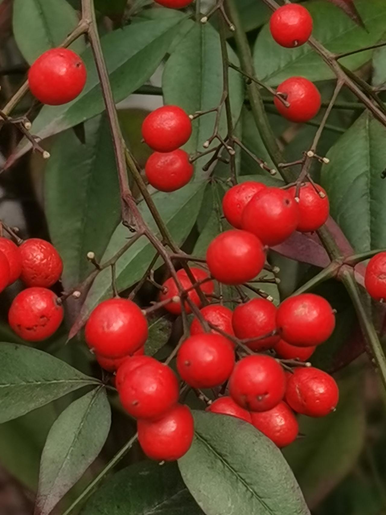 人即是物质的，
也是精神的，
但最终都是精神的，
不信，你品