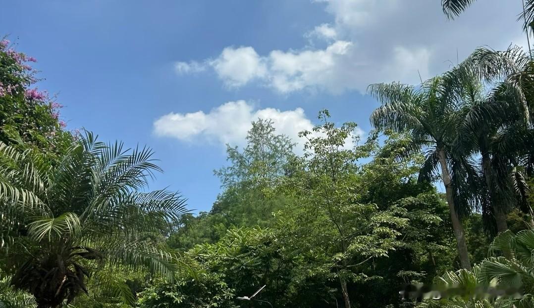 ❤️同频的人，才能共事！
同趣的人，才能相吸！
同道的人，才能共谋！
理念相同的