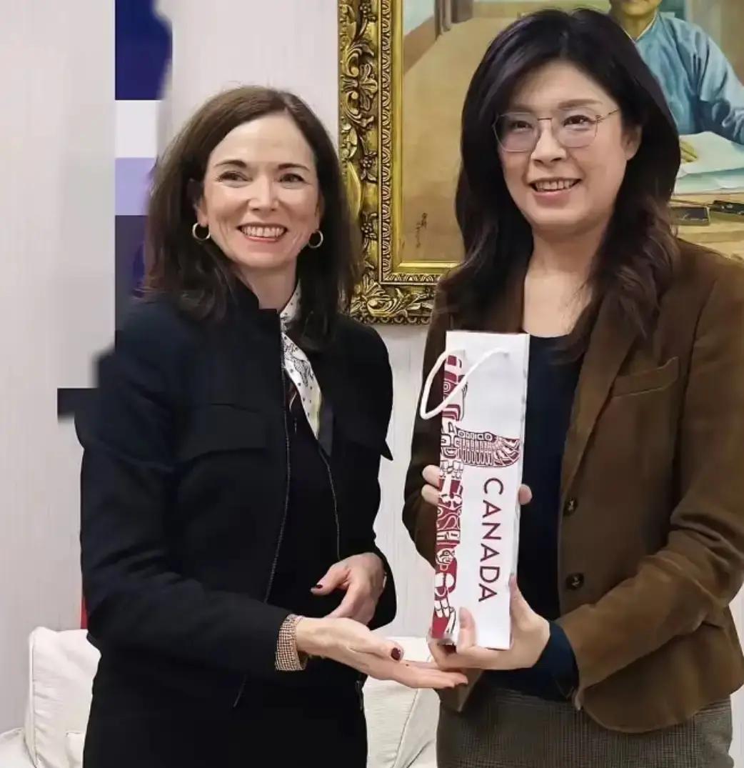 坐不住了！加拿大表态！
 
近日，台北传出消息：加拿大驻台代表在拜会国民党籍民意