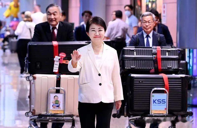 6月15日卢秀燕结束十天欧洲行程返回桃园机场，受访时直言这次出访圆满成功，称最关