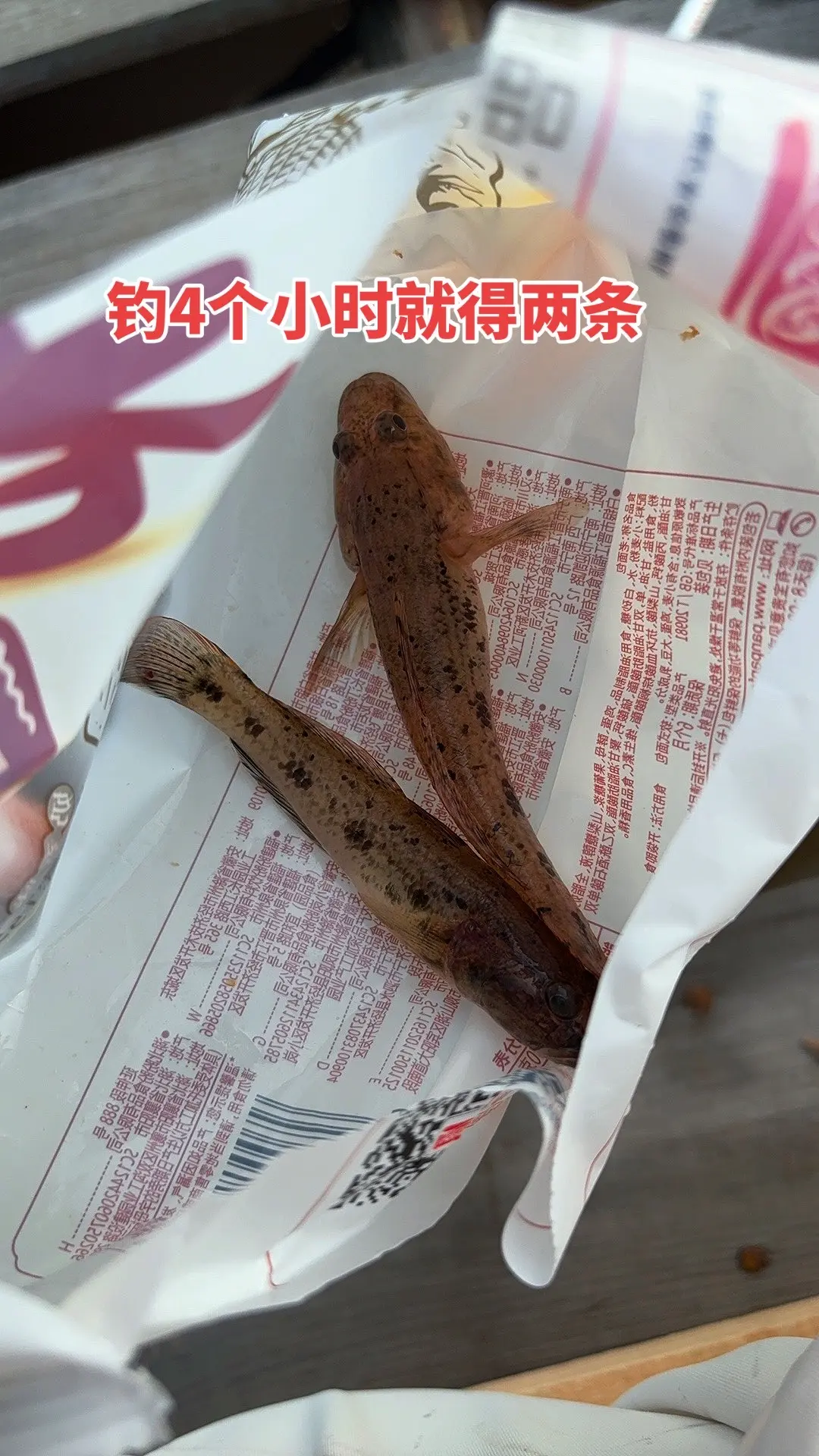 虾肉是你，虫子系你