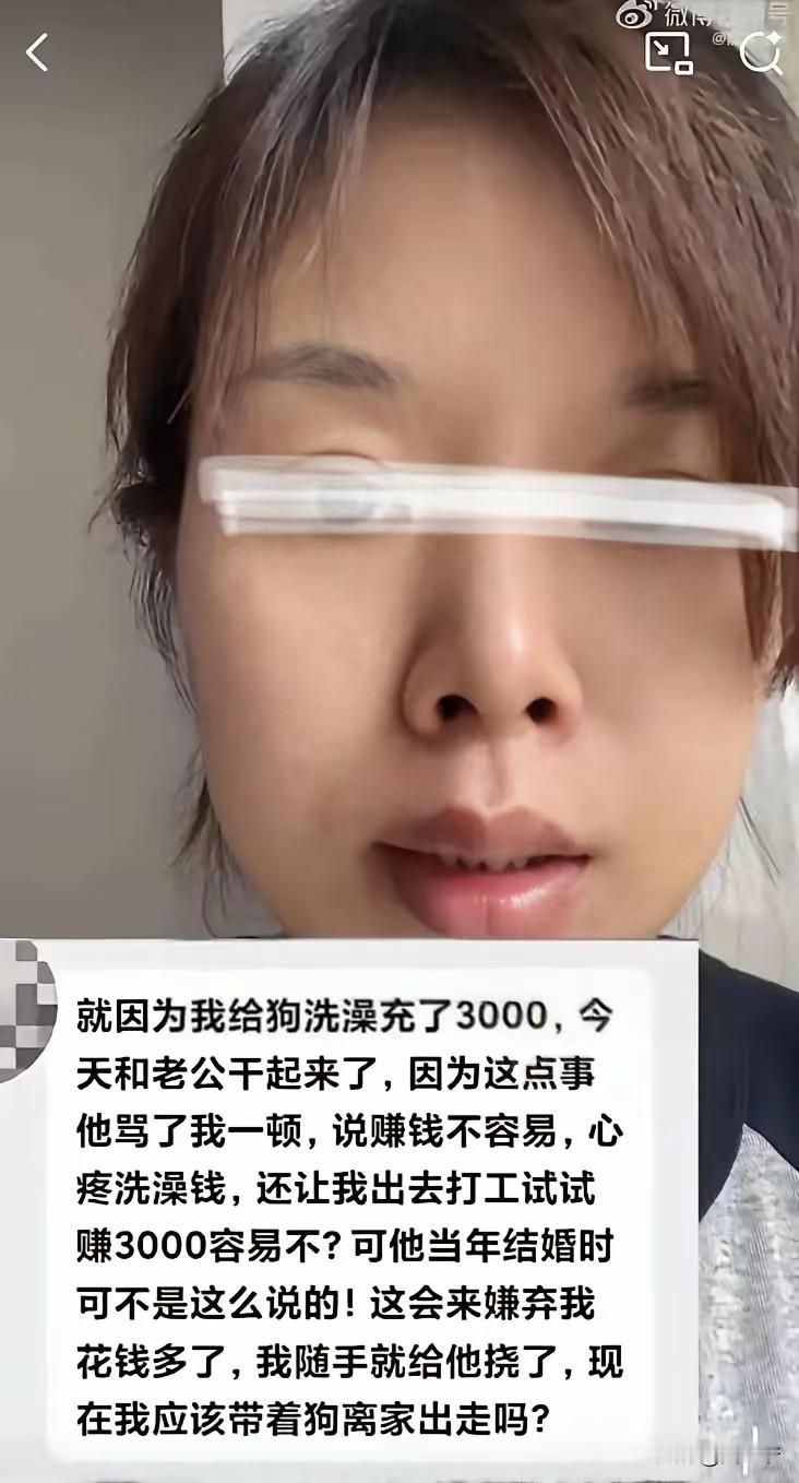 美女花钱真的挺大方，给个狗狗洗澡就充了3000，还理直气壮的与老公吵了起来……