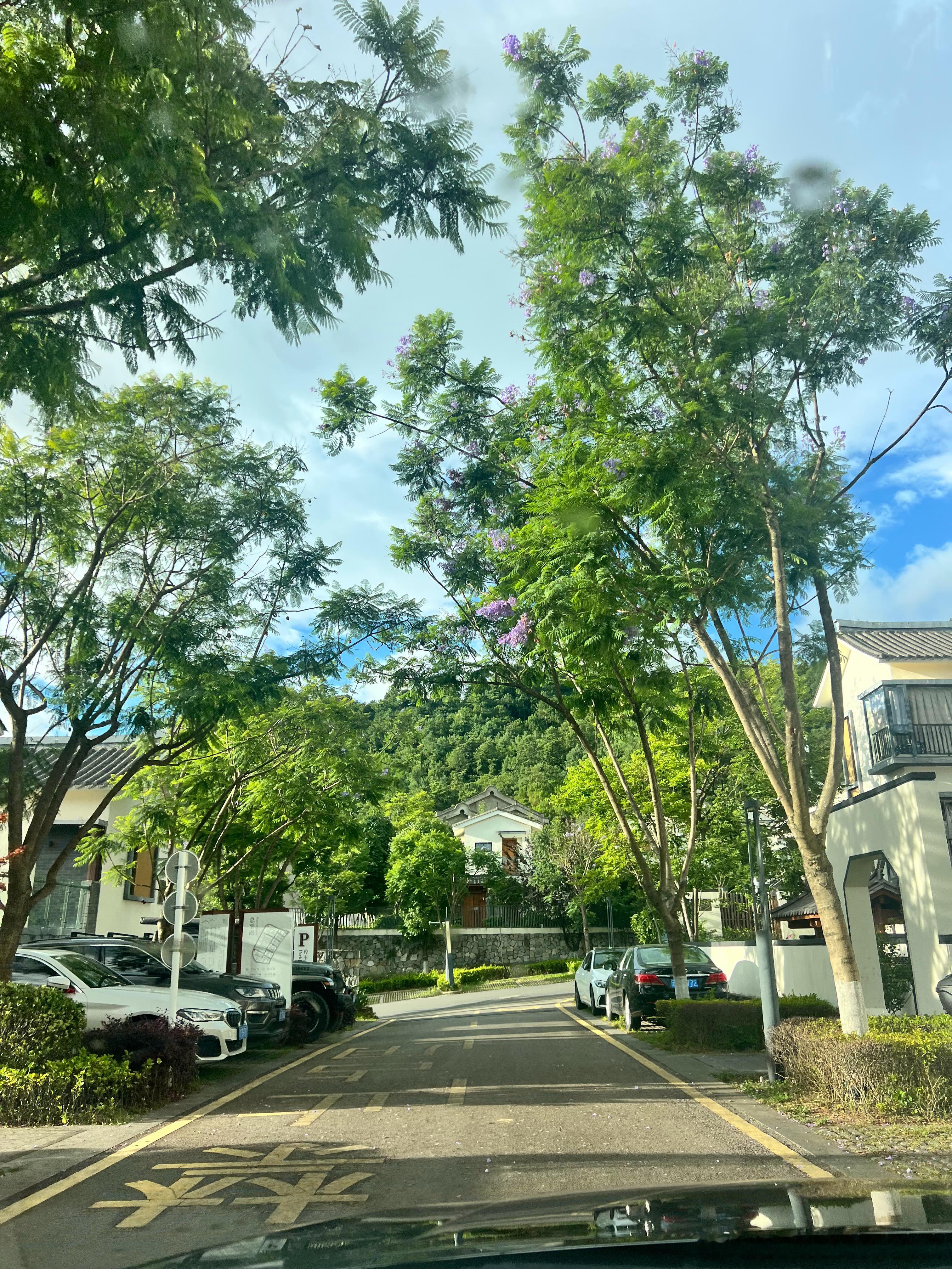 早啊……出门接观察员啦