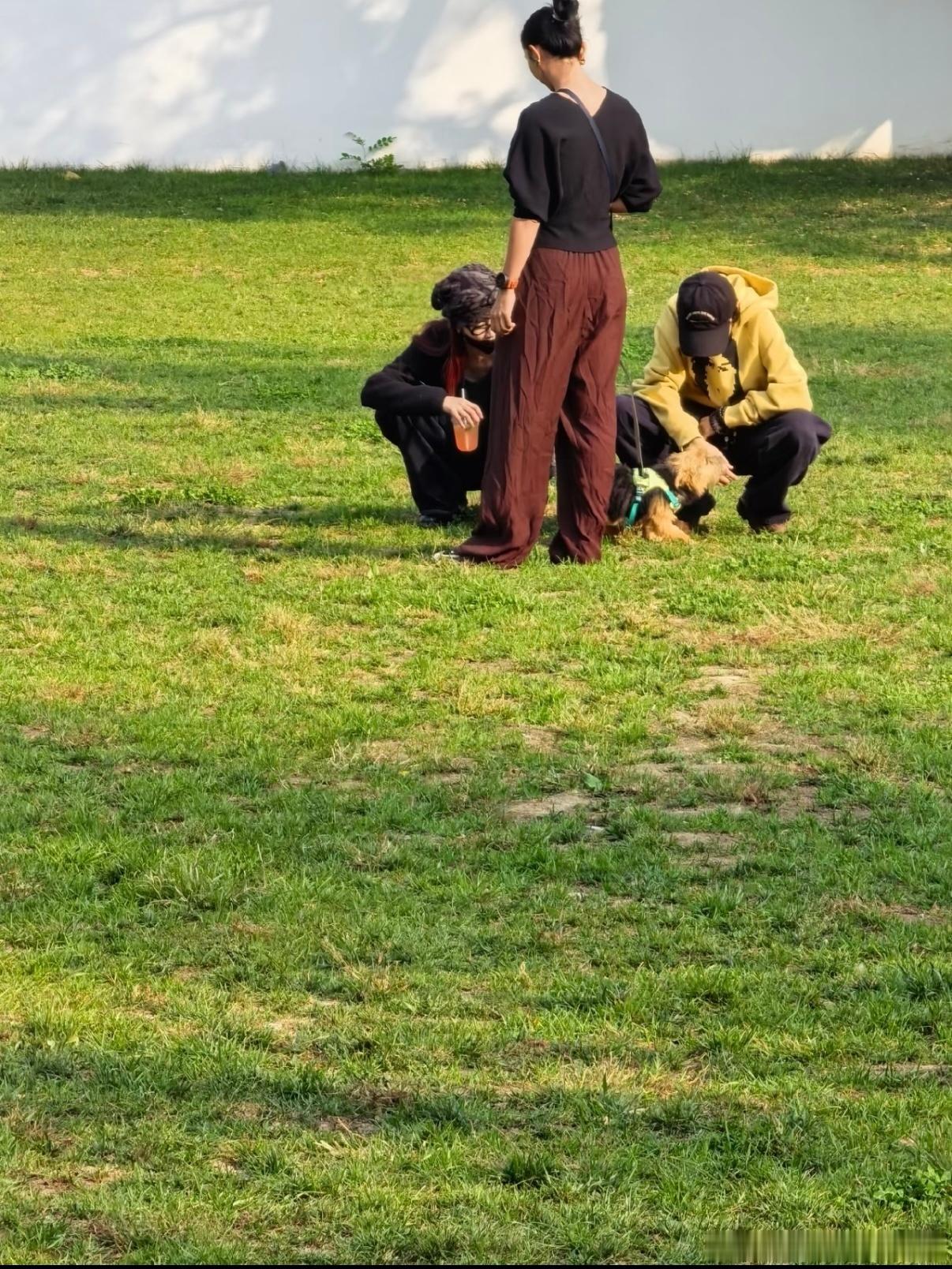 网友在奥森偶遇了窦靖童宋妍霏遛狗。俩人一起遛狗看着好惬意，画面很舒服 ​​​