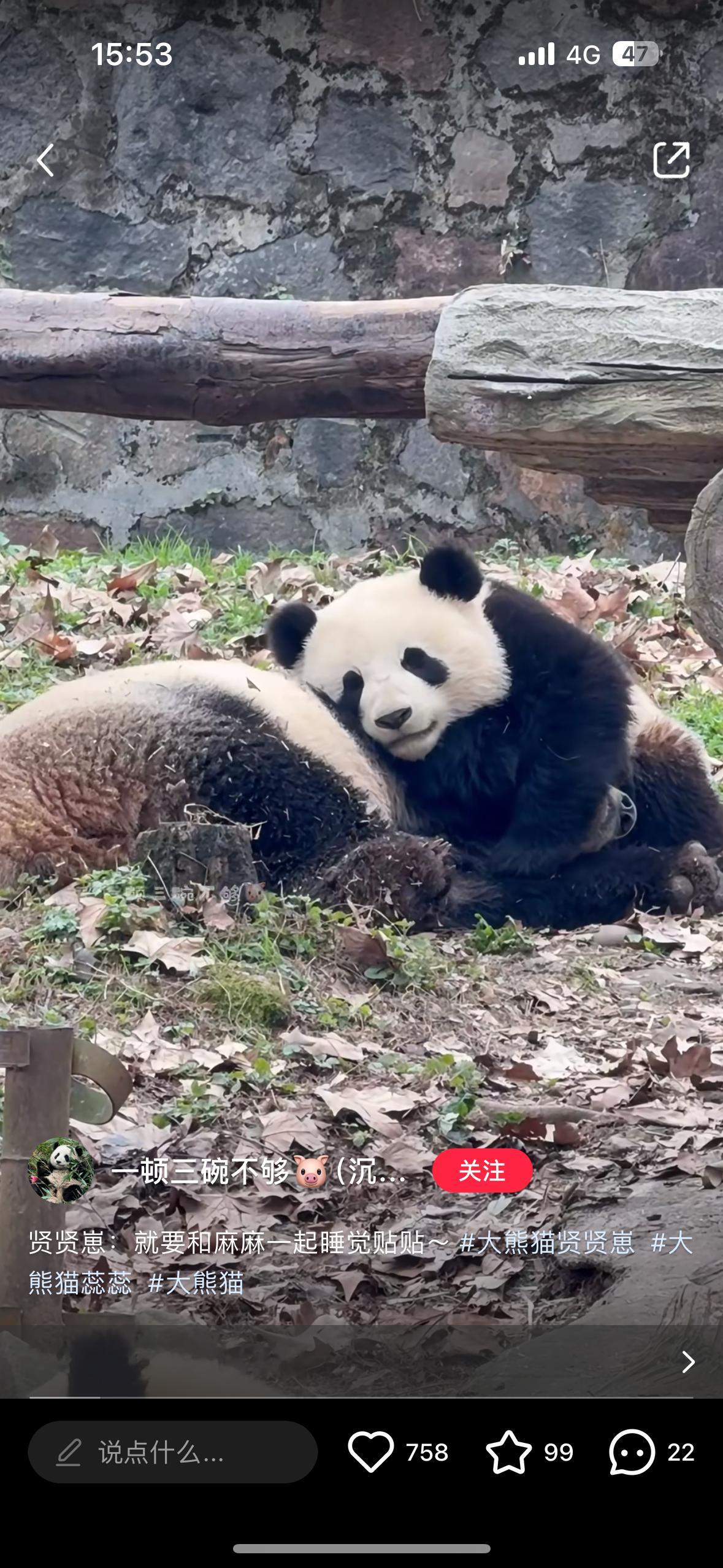 就要和妈妈睡在一起！ 
