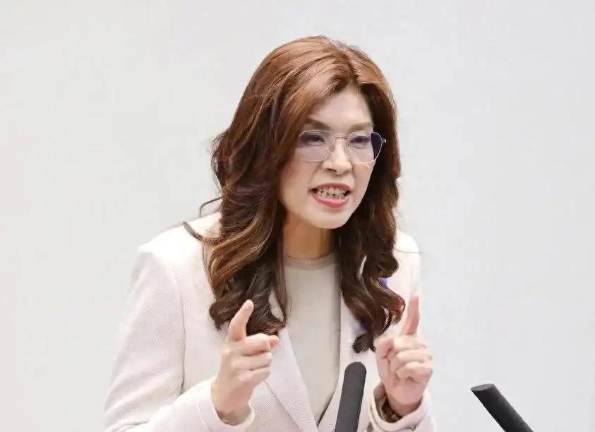 万万没想到，郑丽文竟然抛出了这么犀利的问题！她问道："如果有一天，我们真的和解放