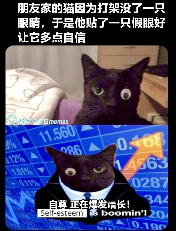可见的（9gag）今日meme 今日memes