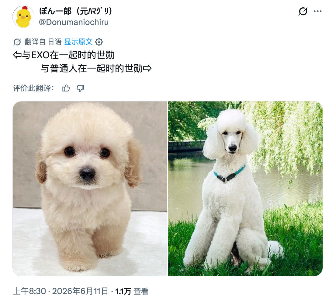 在团里给哄成鸡蛋了 