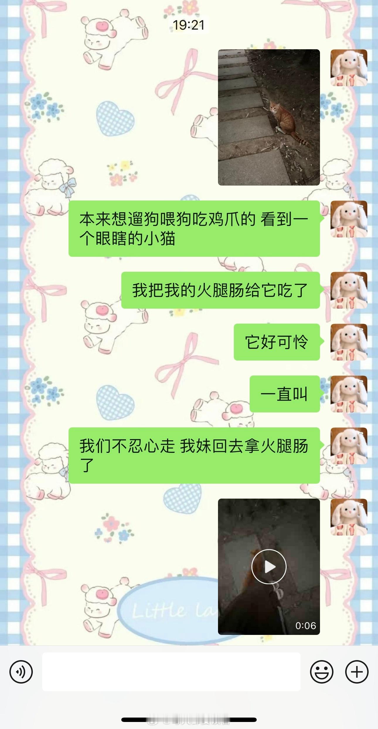 真的哭死 好可怜的小猫 谁那么坏把它眼戳瞎了[泪] ​​​