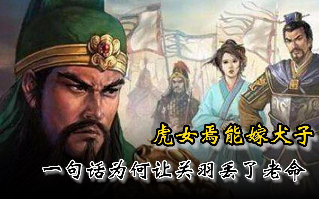 今天要跟大家讨论一个著名的历史故事，那就是关羽不愿意把女儿嫁给孙权的故事！

这