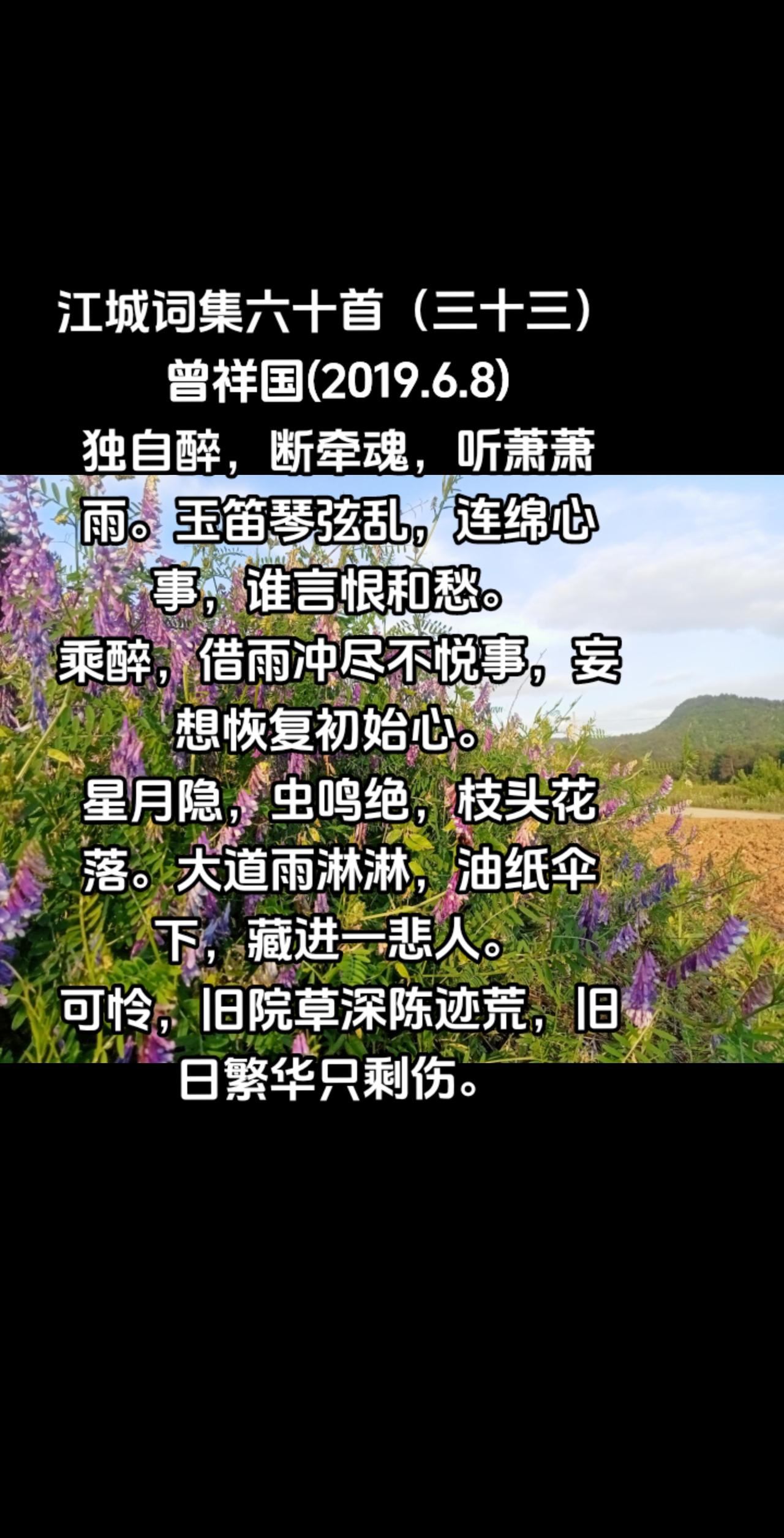 江城词集六十首（三十三）