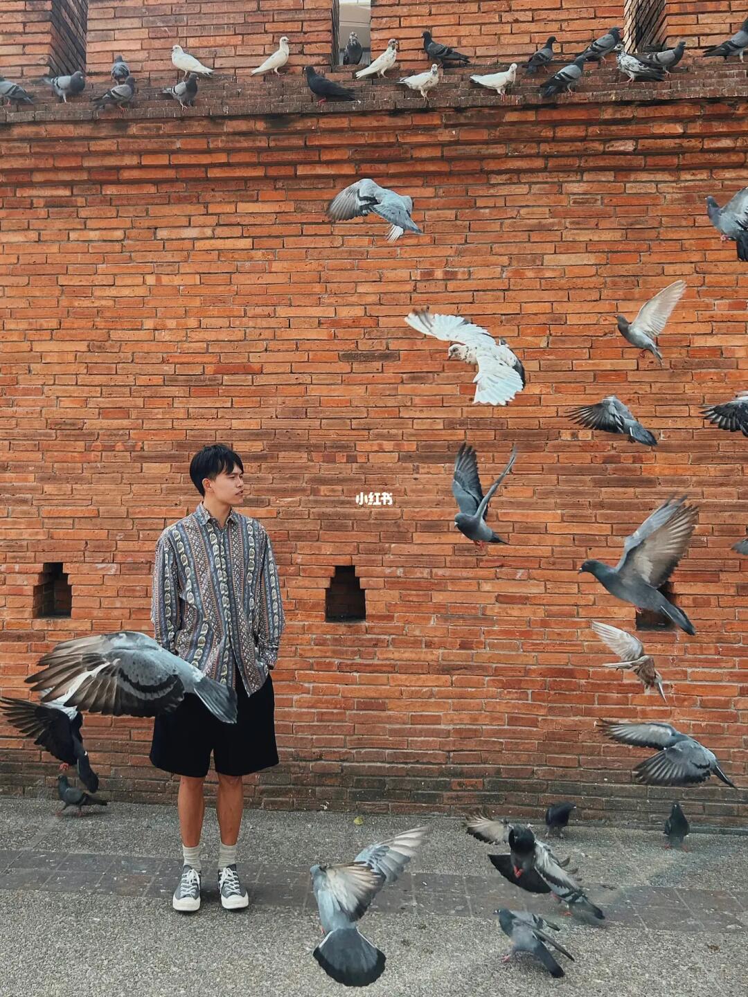 下次来泰国🇹🇭建议你坐一次慢火车