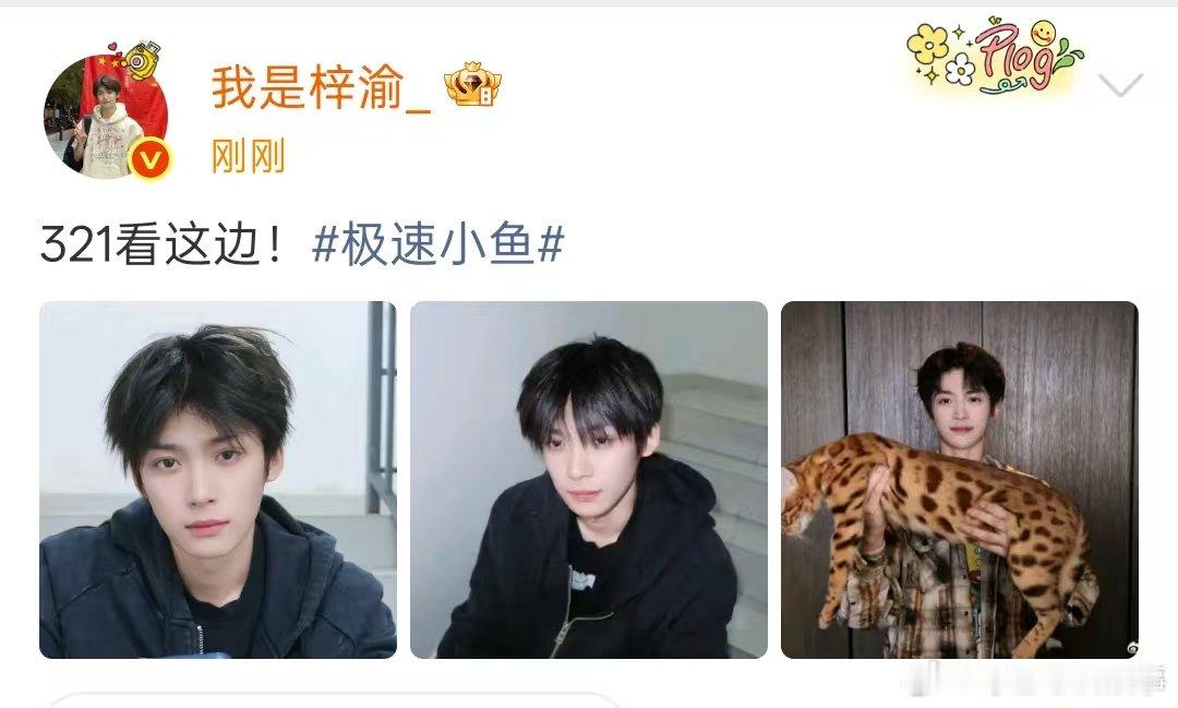 梓渝大鱼体型差梓渝的猫都长这么大了吗？梓渝的猫好大只