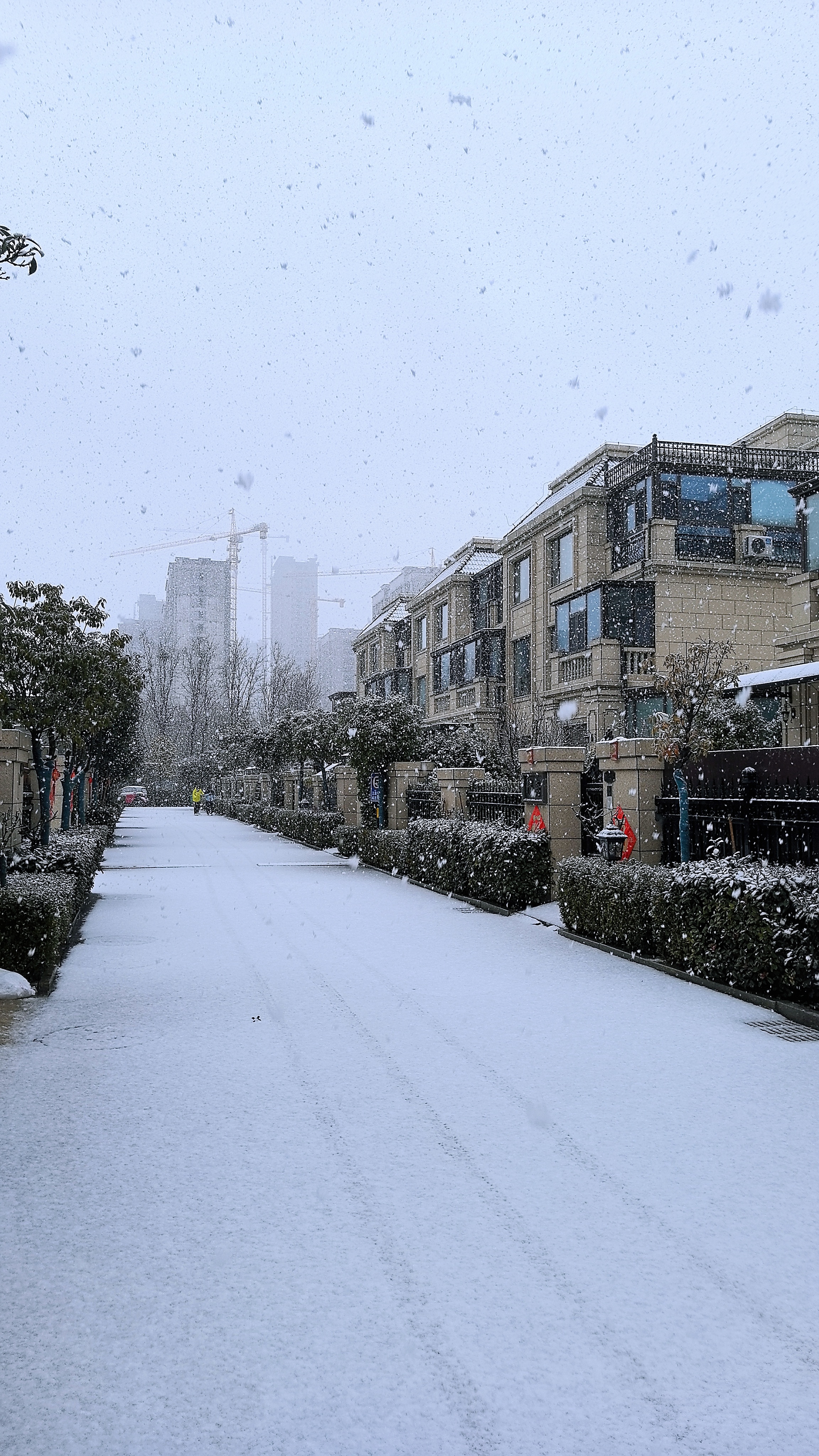 济南真的下雪啦 潍坊真的下雪了[求关注][求关注][求关注]❄️❄️❄️❄️❄️