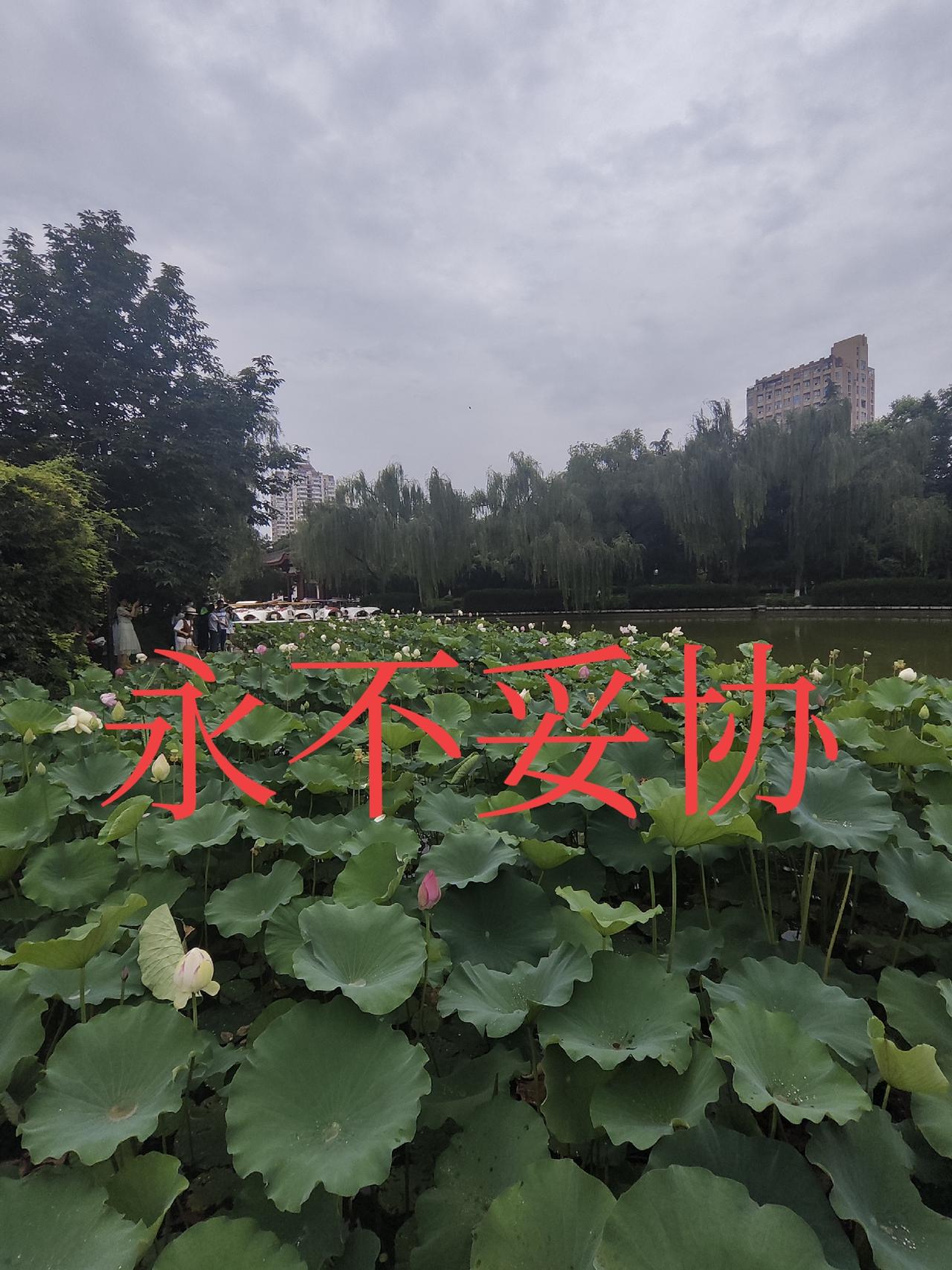 中国的反制，让两头讨好的再没有空间
美国的制裁一波比一波狠毒，中国的反制一次比一